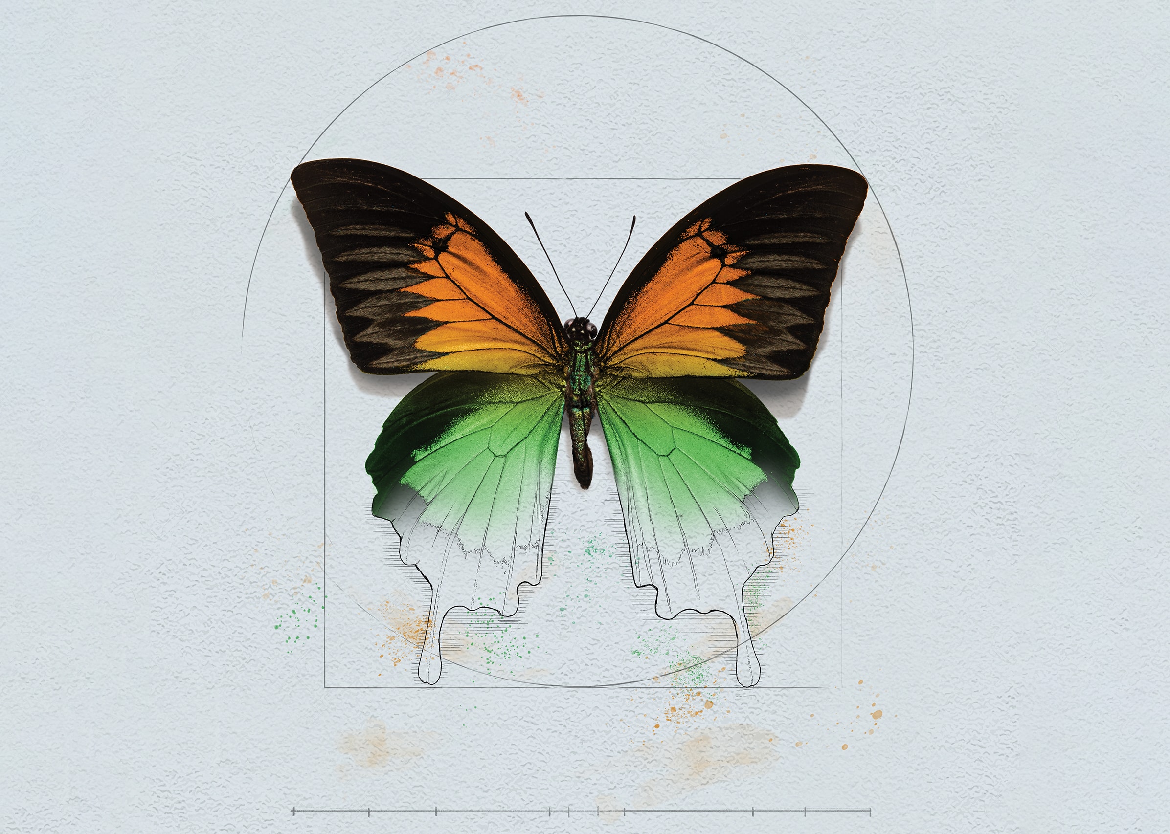 Transformative Medicine