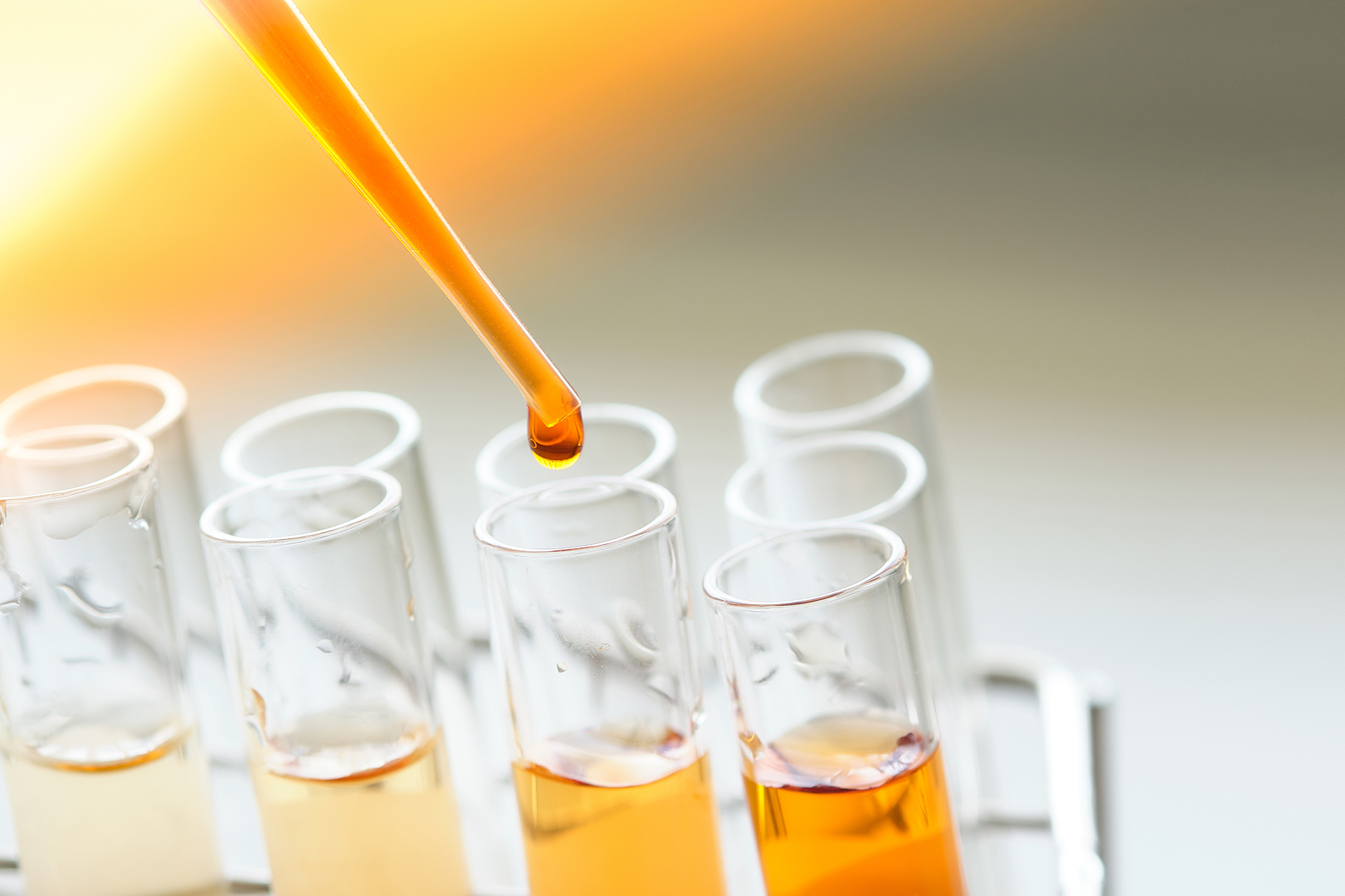 Fast-tracked Research Projects Offer Quick Response to COVID-19