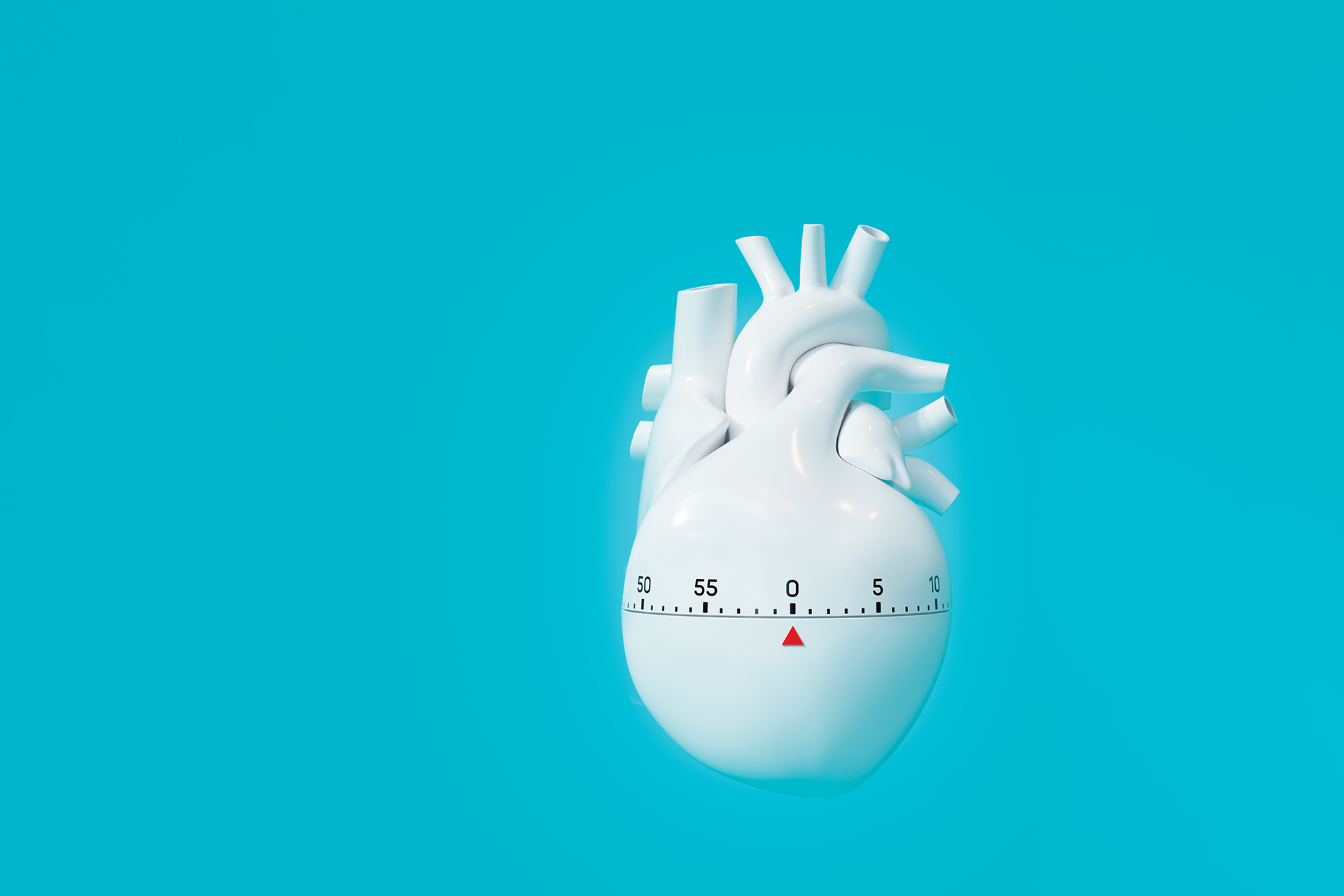 Sudden Cardiac Death: Who Is Most at Risk?