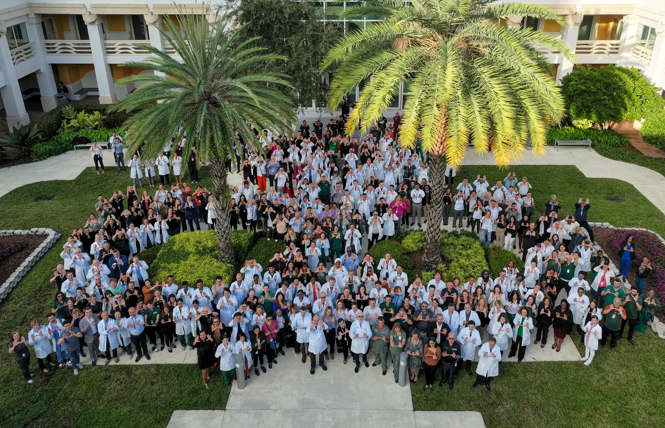 Designation Celebration